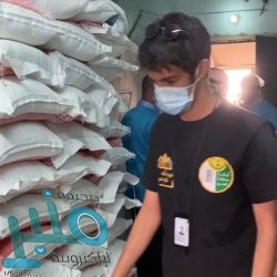 القبض على مستدرج القاصرات واستغلالهن بالتصوير بمشاهد خادشة للحياء