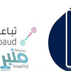 الأرصاد: أمطار رعدية مصحوبة  بحبات من البرد ورياح نشطة على عدة مناطق