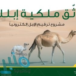 “آل الشيخ” يوجه بتخصيص خطبة الجمعة عن قرار المملكة بشأن حج هذا العام
