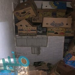 “الجوازات” : خدمة الرسائل والطلبات مستمرة عبر منصة ” أبشر “