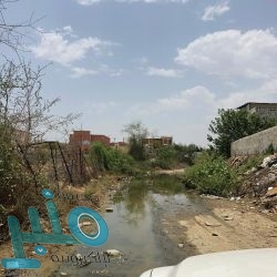 المملكة ترحب بقرار كوسوفا إعلان حزب الله منظمة إرهابية