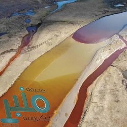 فرنانديز العامل الرئيسي لبقاء بوغبا في مانشستر يونايتد