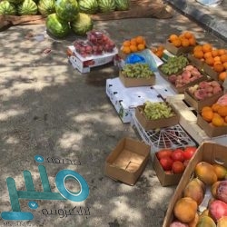 السديس: موافقة خادم الحرمین على إقامة الحج بأعداد محدودة يحفظ للمسلمين أرواحهم