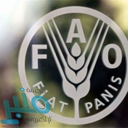 “تقويم التعليم” تبلغ الطلبة الذين لا يمتلكون أجهزة كمبيوتر بمواعيد الاختبار التحصيلي