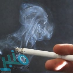 كيف تتحوّل الخلية الطبيعية إلى سرطانية؟.. تعرف على التفاصيل