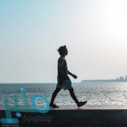 علماء يكشفون عن حيوان يمكن أن ينقذ العالم من موجة ثانية لكورونا