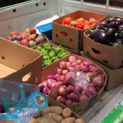 حالة الطقس المتوقعة اليوم الخميس