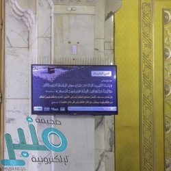 ضبط (244) مخالفاً حاولوا التسلل إلى المشاعر المقدسة