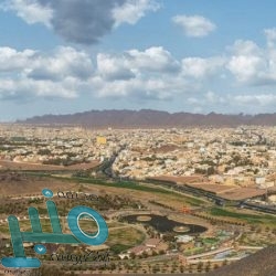 الكشف عن 3 مخالفات بشأن ضريبة القيمة المضافة تستدعي تقديم بلاغ لـ “التجارة”