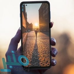 دراسة: القنب الهندي يمكن أن يساعد في منع مشاكل الرئة المميتة المرتبطة بفيروس كورونا