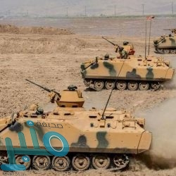 ملك الأردن: كورونا تحت السيطرة وتركيزنا الآن على الاقتصاد