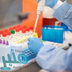 مجلس النواب المصري يفوض السيسي بالحفاظ على الأمن القومي