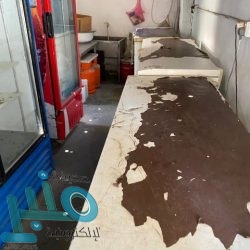 مختص يوضح آلية ضبط مخالفات عدم وجود تأمين على المركبات