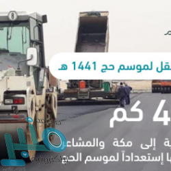 ضبط (244) مخالفاً حاولوا التسلل إلى المشاعر المقدسة