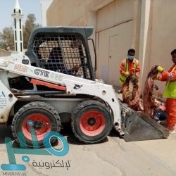 مصادرة 70 رأساً وإغلاق ثلاثة مسالخ ومطبخاً مخالفاً في مكة