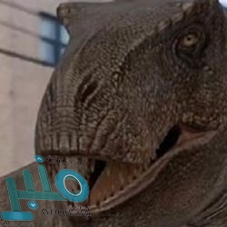 اسباب غازات البطن في الليل وطرق تجنبها