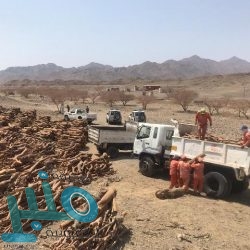 تدخل جراحي ناجح لاستئصال ورم من بطن مريضة في النعيرية