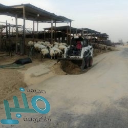 افتتاح الإشارة الضوئية أمام بلدية العرضية الشمالية