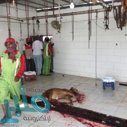 “السعودية للكهرباء”: أحمال يوم عرفة 36 ميجاوات واستقرار كامل للخدمة الكهربائية في المشاعر