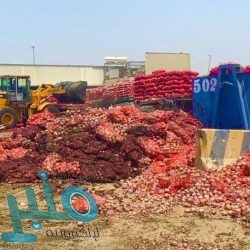 63% من المنشآت الصغيرة والمتوسطة حققت نموًا في المبيعات بنسبة 10% خلال جائحة كورونا