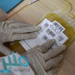 حتى الـ5 مساءً .. نشاط للرياح والأتربة المثارة على عددٍ من محافظات مكة المكرمة