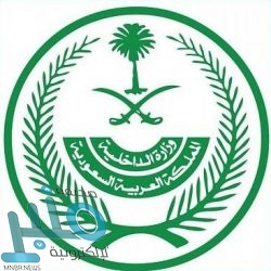 مصادرة ٦٠ طنا من الحطب والفحم المحلي في الكامل