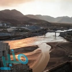 «العشرين» ومنتدى باريس يناقشان تعزيز التمويل من أجل التنمية