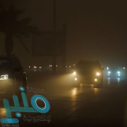 جمعية الكشافة تواصل مُشاركتها في الدراسة الكشفية العربية الرقمية للشارة الخشبية