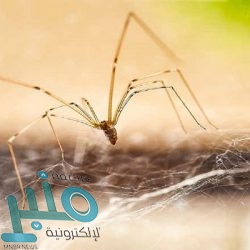 إعادة اختبار قدرة “هيدروكسي كلوروكين” على علاج مرضى كورونا