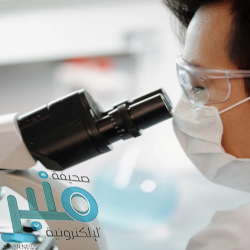 ميلان يحافظ على سجله الخيالي.. وإبرا يعود بهدفين