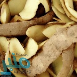 تحديثات جديدة في تطبيق توكلنا