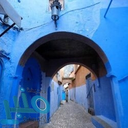 السيسي لقبائل ليبيا: مصر لن تسمح بتجاوز خط “سرت – الجفرة”