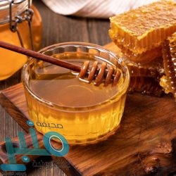 لجنة الحج والإسكان والخدمات في الشورى تناقش مشروع نظام السوق العقارية