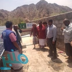 القبض على 20 وافدًا .. والكشف عن التهم الموجهة إليهم وجنسياتهم