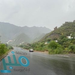 ظهرت بملابس غير مناسبة.. “التنمية الاجتماعية” تباشر حالة استغلال طفلة في إعلان خادش للحياء