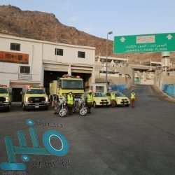 بعد اتباع إجراءات التباعد .. ضيوف الرحمن يؤدون مناسك الحج -صور وفيديو