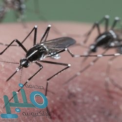 رغم هزيمة ليفربول.. رقم جديد لـ محمد صلاح مع الريدز في الدوري الإنجليزي