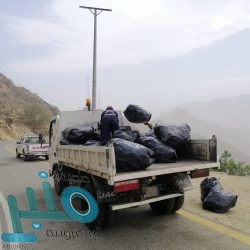 “الأمن السيبراني”.. دورة تدريبية عن بعد في جمعية الكشافة