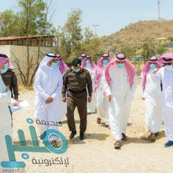 الجيش اليمني يحرر مواقع جديدة في جبهة قانية ويكبد الميليشيا خسائر بشرية ومادية