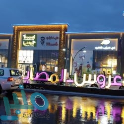 نجاة قائد مركبة أصطدم بـ 3 جمال بسبب الانشغال بالجوال في حائل