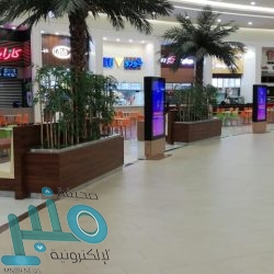 رئاسة شؤون الحرمين تفعّل خطتها الميدانية والوقائية لضمان سلاسة التفويج