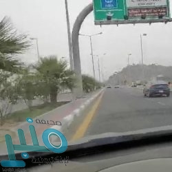 حساب المواطن: تم تغطية سعر فرق تعريفة البنزين 91
