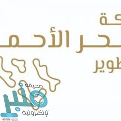 الأرصاد: استمرار الأمطار الرعدية المصحوبة برياح مثيرة للأتربة والغبار على هذه المناطق