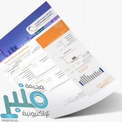 “الدكتور منزلاوي”: المملكة تسعى إلى تجنيب المنطقة أي عمل أحادي الجانب حول سد النهضة