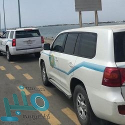 “الحبوب” تبدأ صرف مستحقات الدفعة الثالثة لمزارعي القمح المحلي لهذا الموسم