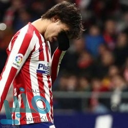 قشر البطاطس.. كنز من الفوائد يقوي المناعة ويعيد الشباب