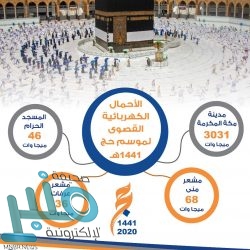 مصادرة 70 رأساً وإغلاق ثلاثة مسالخ ومطبخاً مخالفاً في مكة