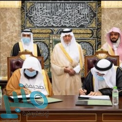 جمعية الكشافة تواصل مُشاركتها في الدراسة الكشفية العربية الرقمية للشارة الخشبية