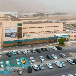 الجزائر تسجل 475 إصابة جديدة بفيروس كورونا خلال الـ24 ساعة الماضية