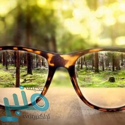 شركة المتجر الوطني توفر وظائف شاغرة لحملة الدبلوم من الجنسين